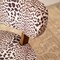 Decorative Leopard Print Upholstered Lounge Chair - 24"x 27"x 29"